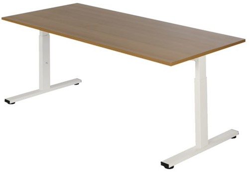 Bureau NPO Pro-Fit vast 200x100cm wit frame noten blad